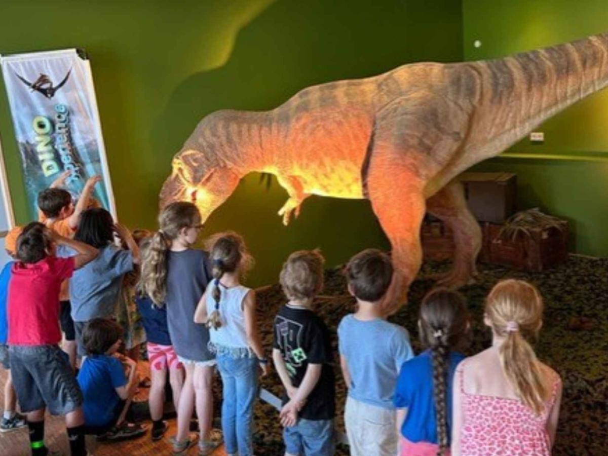 OGS Nikolausschule_Sommerferien_Dinosaurier-Woche (03)