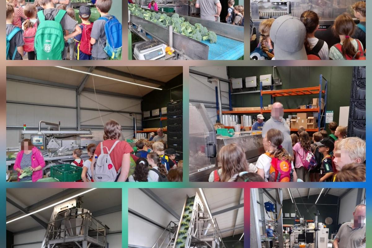 OGS_Thomas-von-Quentel-Schule_Sommerferienbetreuung_2025 (05)