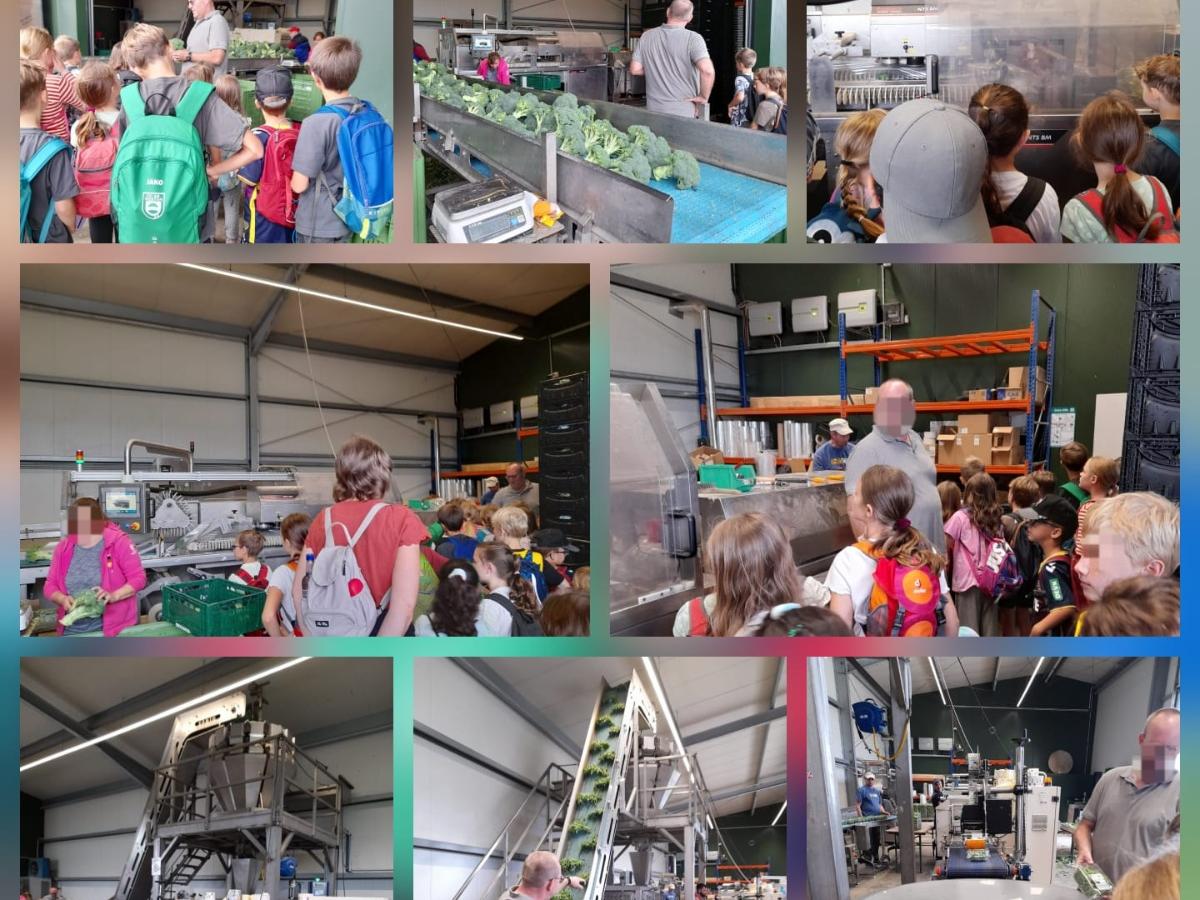 OGS_Thomas-von-Quentel-Schule_Sommerferienbetreuung_2025 (05)