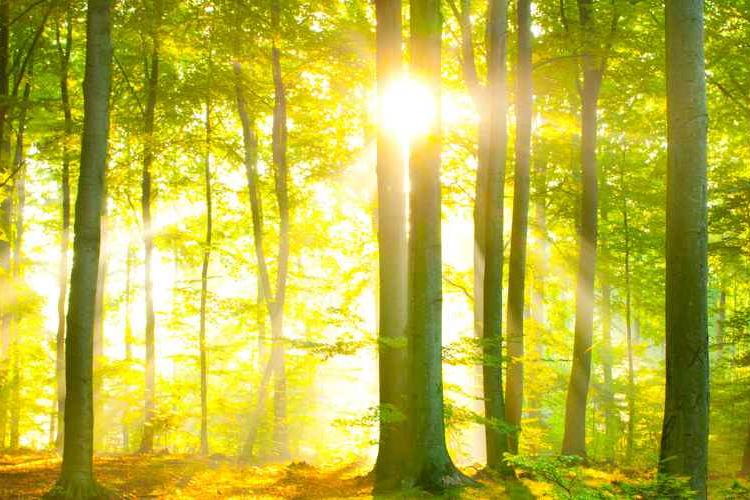 Header_Spiritualität