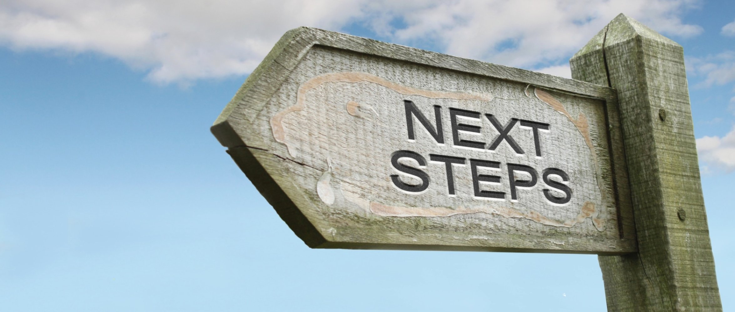 Next-steps
